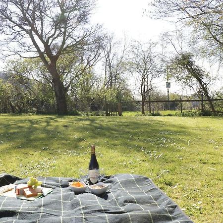 The Nest - Family Friendly Caravan Nr Glastonbury & Street Somerton  Exterior photo